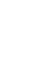 globe icon